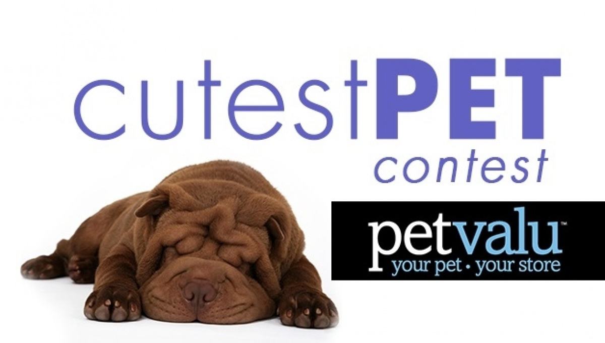 The Cutest Pet in the World Contest!